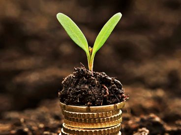 A spout growing from a stack of coins soil.