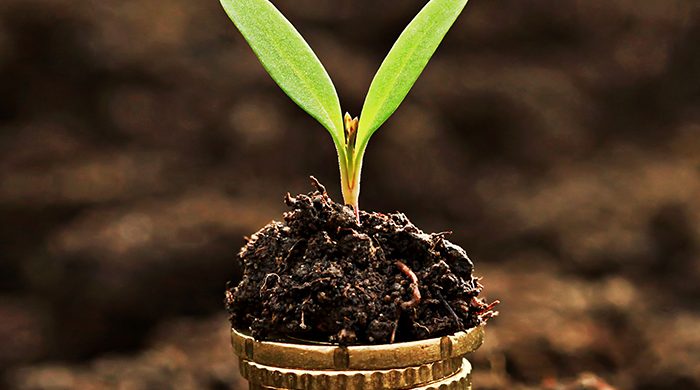A spout growing from a stack of coins soil.
