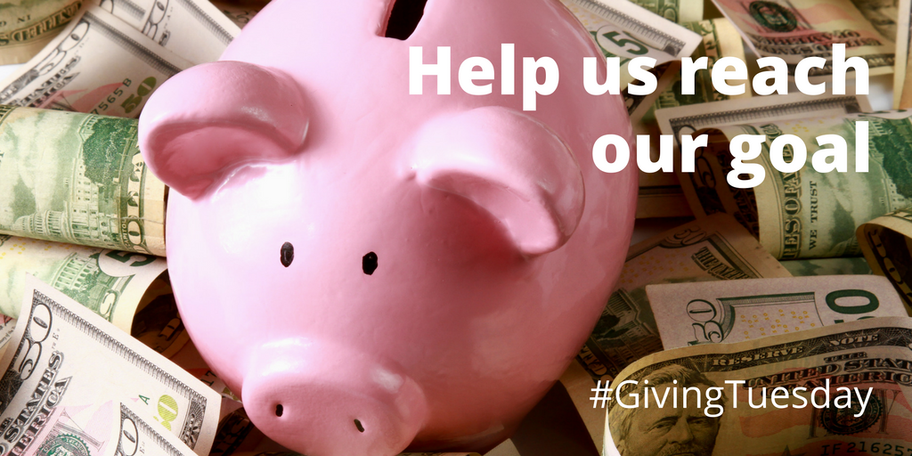 givingtues-twitter-3