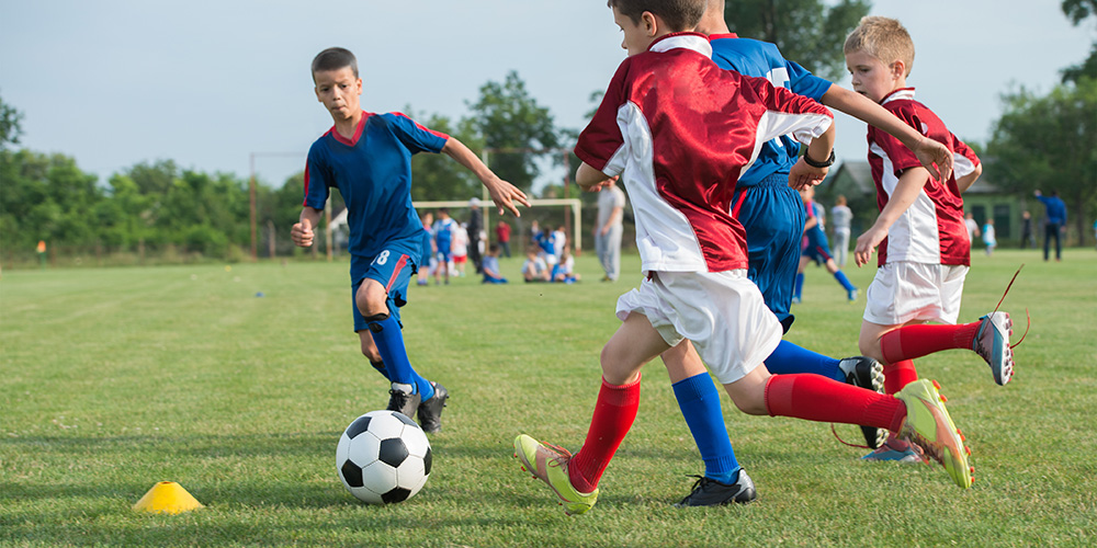 shutterstock_210359746